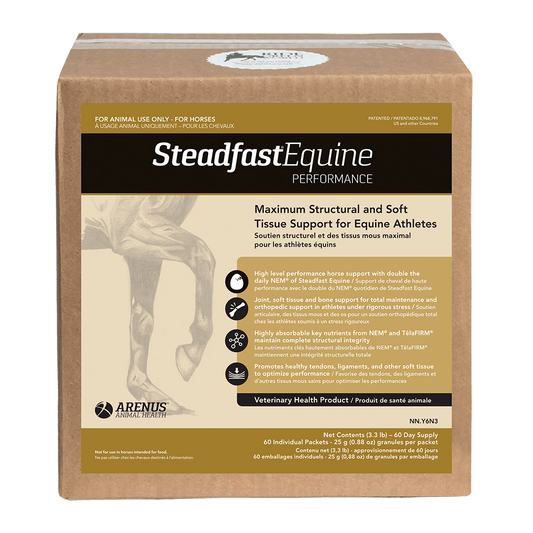 Steadfast Equine Performance