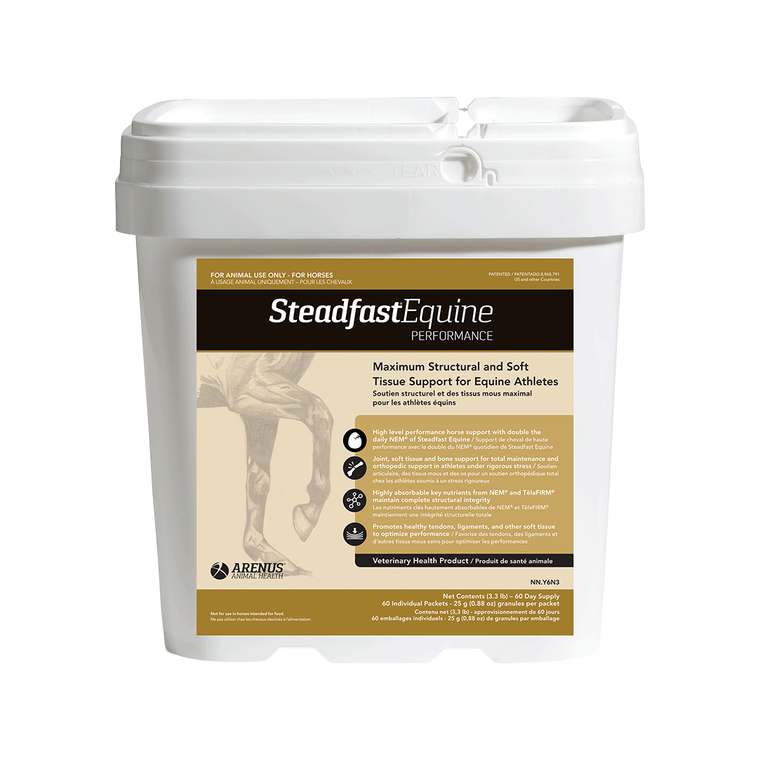 Steadfast Equine Performance