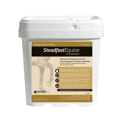 Steadfast Equine Performance