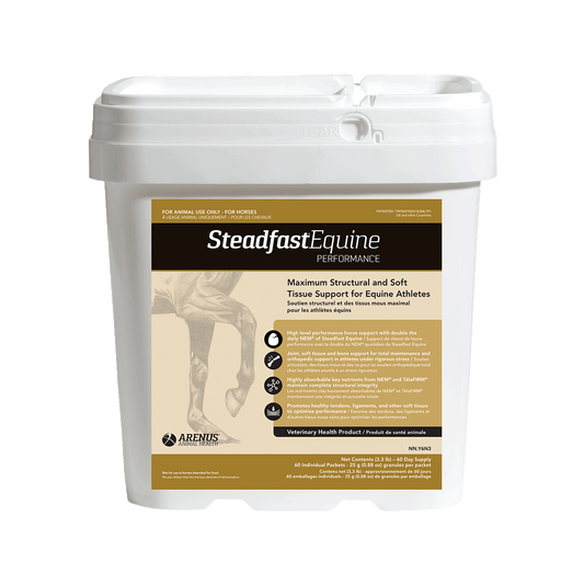 Steadfast Equine Performance