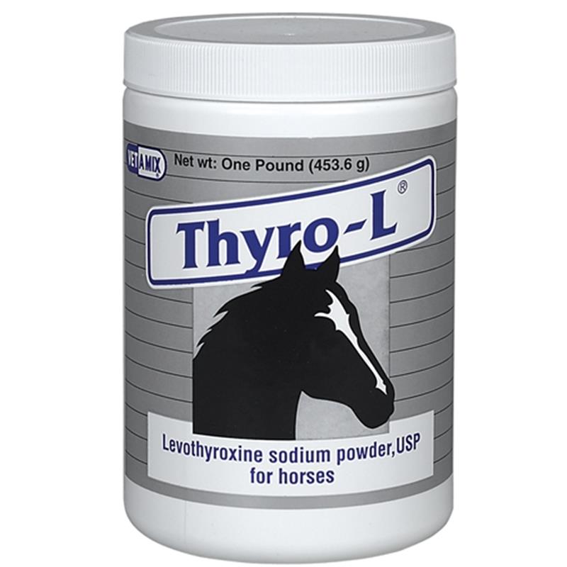 Horse Anhidrosis: The Role of the Thyroid