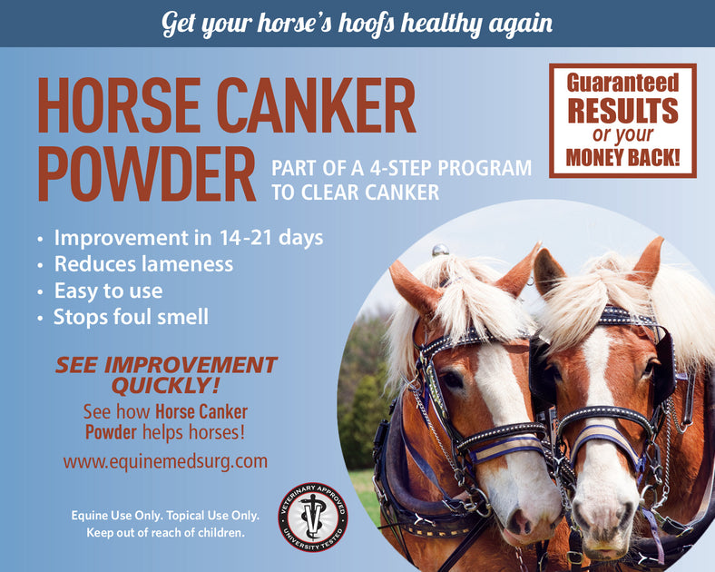 CANKER POWDER Equine Medical and Surgical Associates